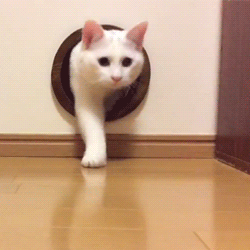 「」