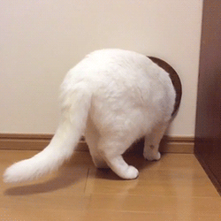 「」