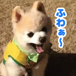 「」