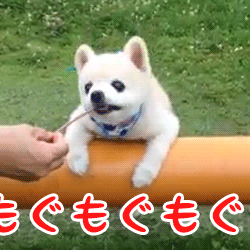「」