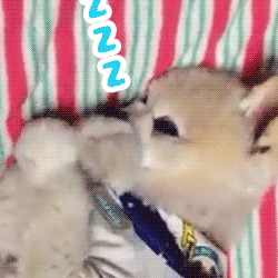「」