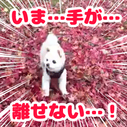 「」