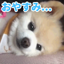 「」