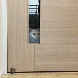 「」