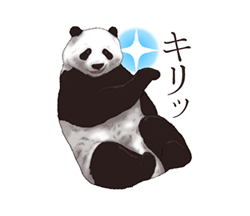 「」