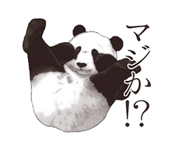 「」