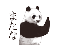 「」