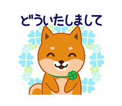 クリエイター Push 有名スタンプ取り放題 クリエイター Push 有名スタンプ取り放題