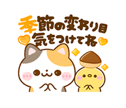 「」