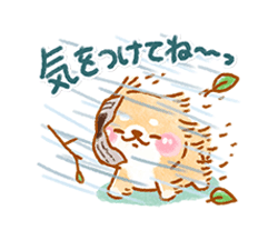 「」