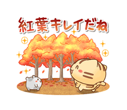 「」