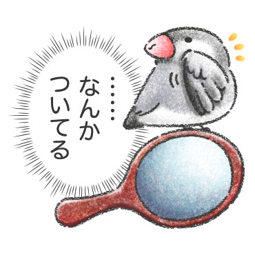 文鳥さんのホンネ / 26