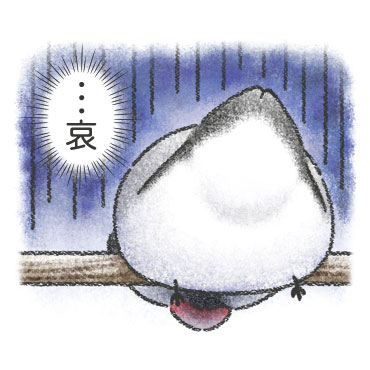 文鳥さんのホンネ / 35