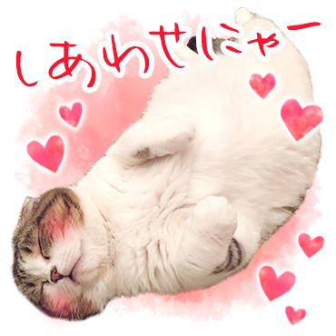 どんぐりの日常。 / 02