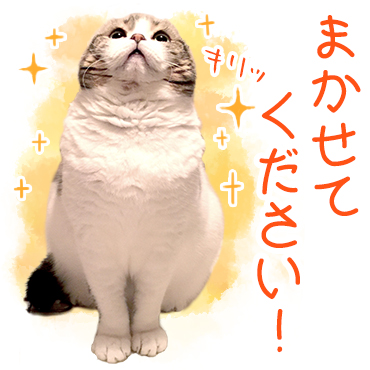 どんぐりの日常。 / 03