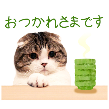 どんぐりの日常。 / 04
