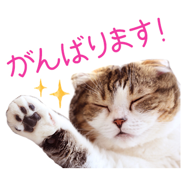 どんぐりの日常。 / 05
