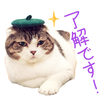 どんぐりの日常。 / 06