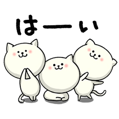 ねこだくさん / 26