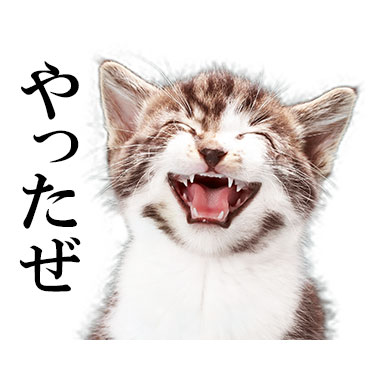 にっこりねこちゃん / 01