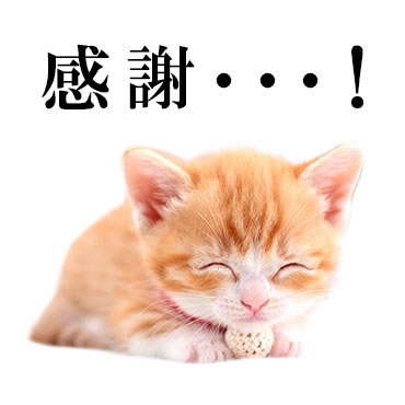 にっこりねこちゃん / 04