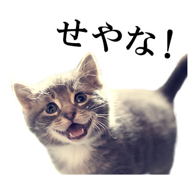 にっこりねこちゃん / 11