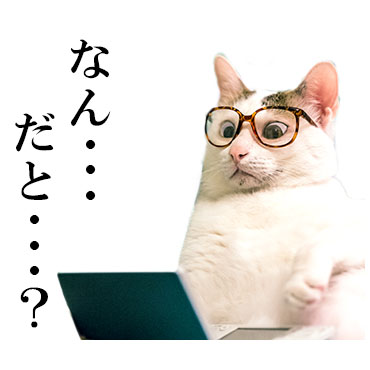 にっこりねこちゃん / 12