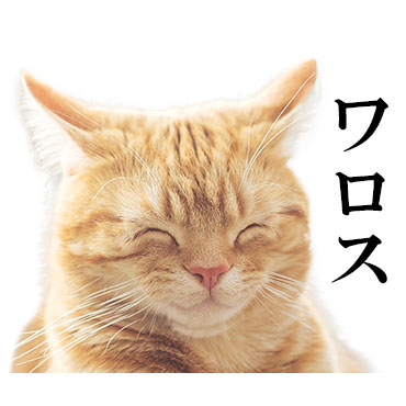 にっこりねこちゃん / 13