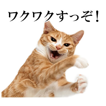 にっこりねこちゃん / 14