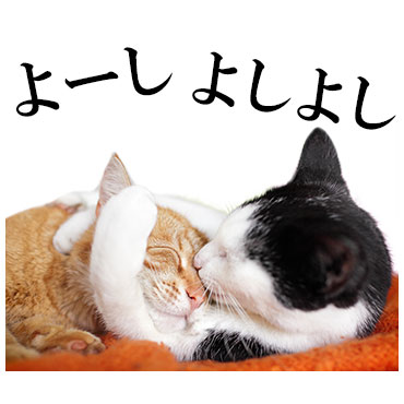 「」