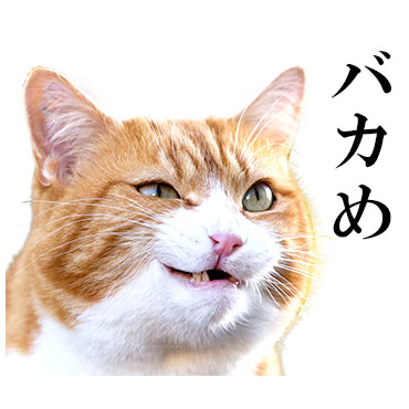 にっこりねこちゃん / 21
