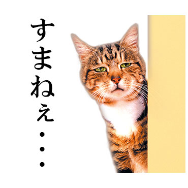 にっこりねこちゃん / 32