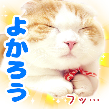 うなぎ(うなちゃん) / 02