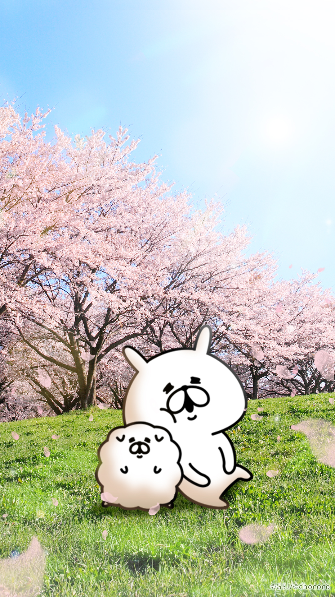 ゆるうさぎ 【桜の風景壁紙】