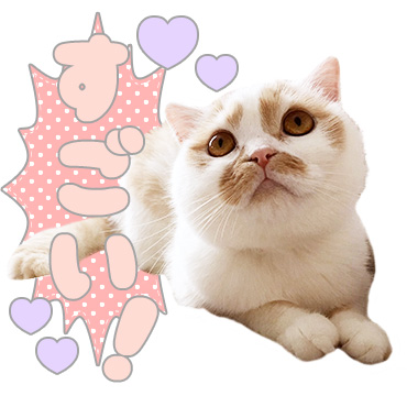 甘え猫ホイップ / 01