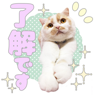 甘え猫ホイップ / 02