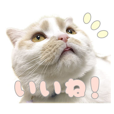 甘え猫ホイップ / 04