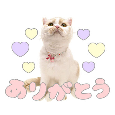 甘え猫ホイップ / 05
