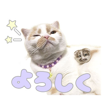 甘え猫ホイップ / 06